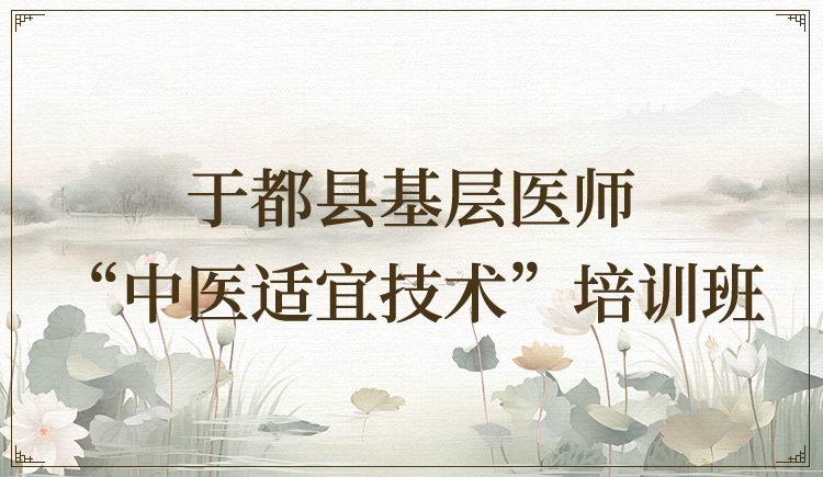 于都县基层医师中医适宜技术培训
